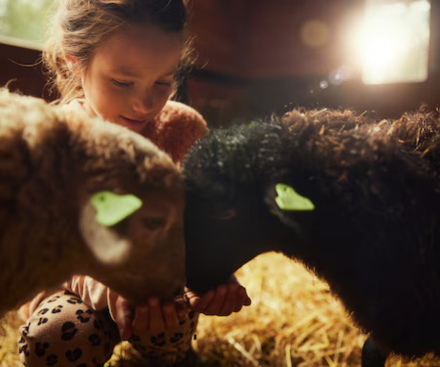 The Children's Farm