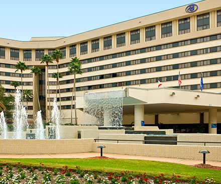 Hotel Overview