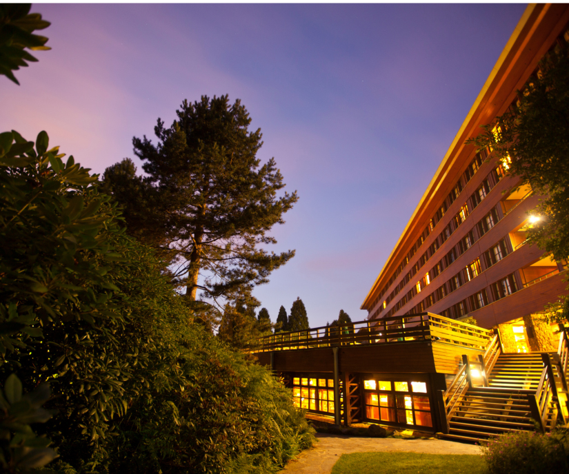 Disney Sequoia Lodge