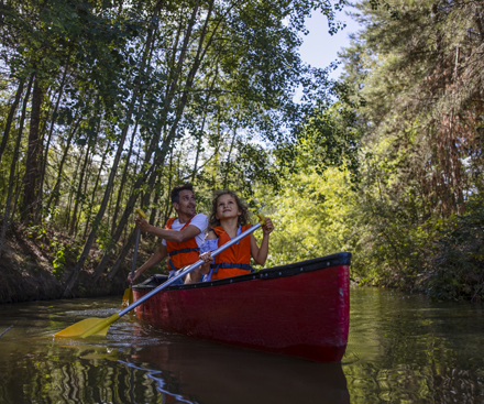 Canoe