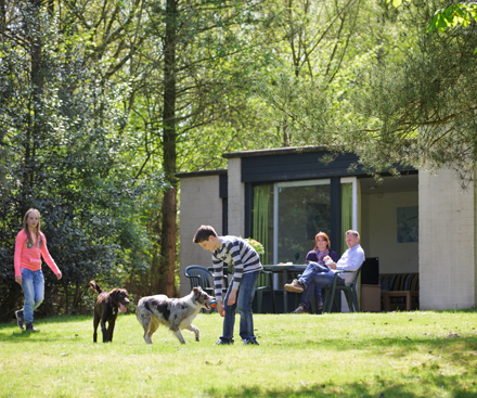 Dog Cottages