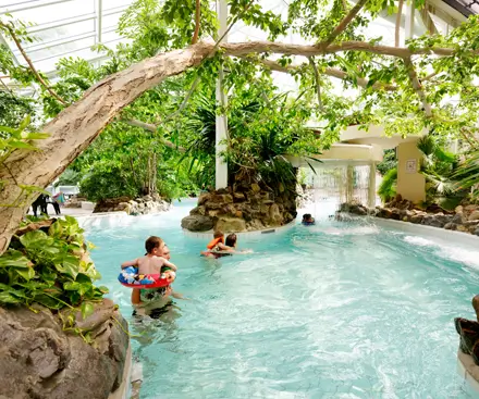 Lagoon Pool